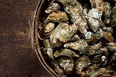 Oyster Program - Hudson's on the Docks - Hilton Head Island